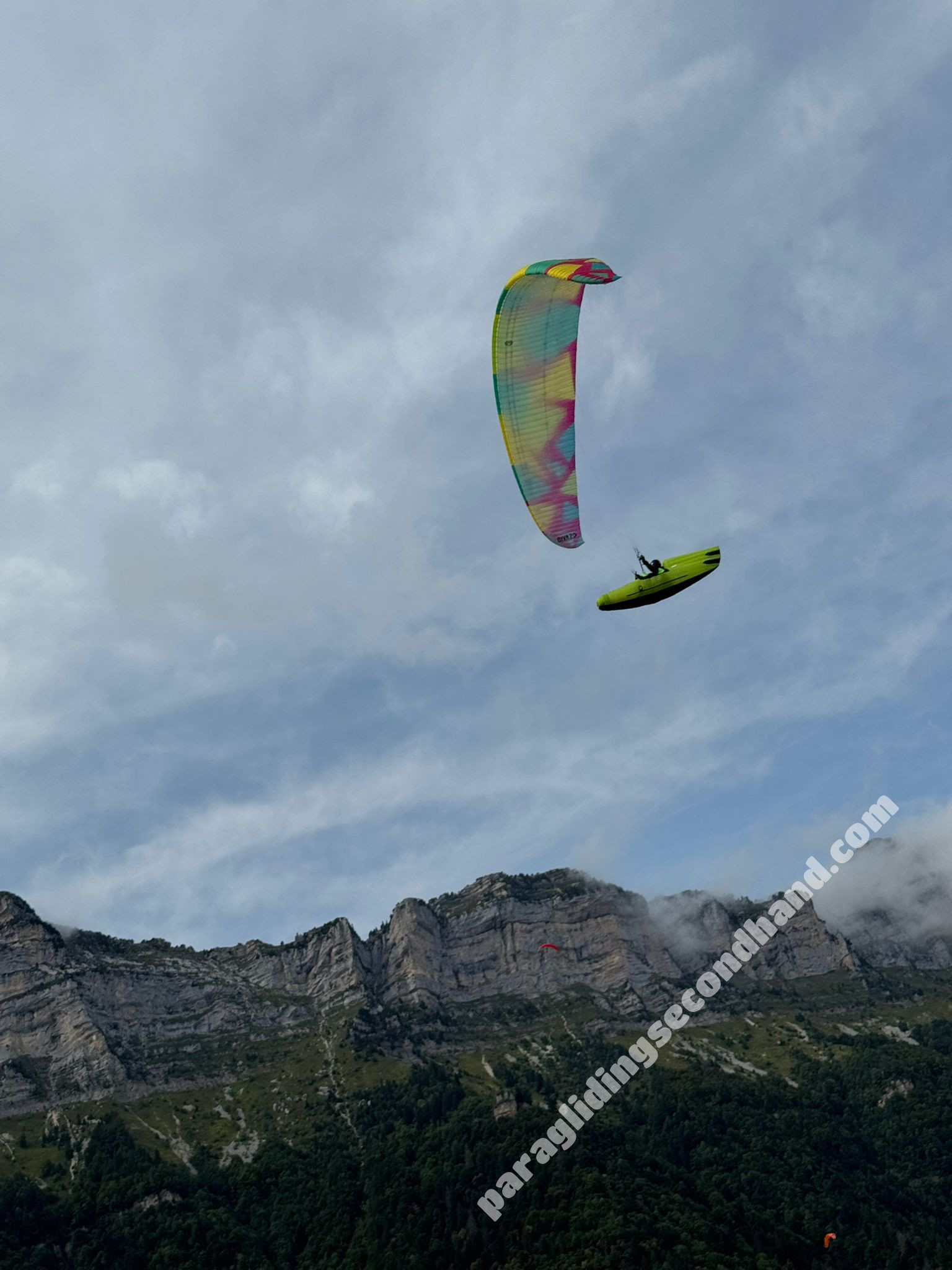 BGD DIVA 2, M, 2025, (80-100kg), 25h