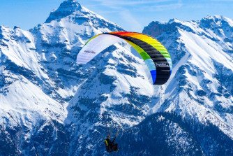 Papillon BODYGUARD 7, S, 2026, (60-95kg), 0h