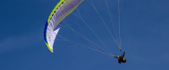 Papillon BODYGUARD 7, S, 2026, (60-95kg), 0h