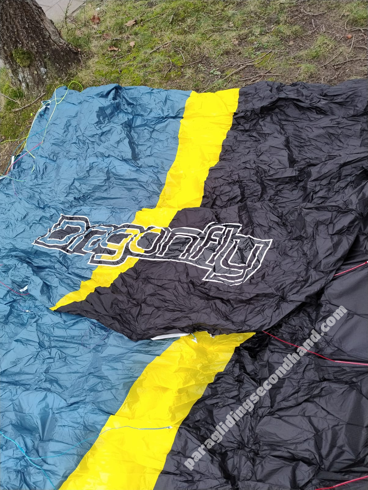 Ozone Dragonfly, 18, 2020, (50-120kg), 0h - Image 3