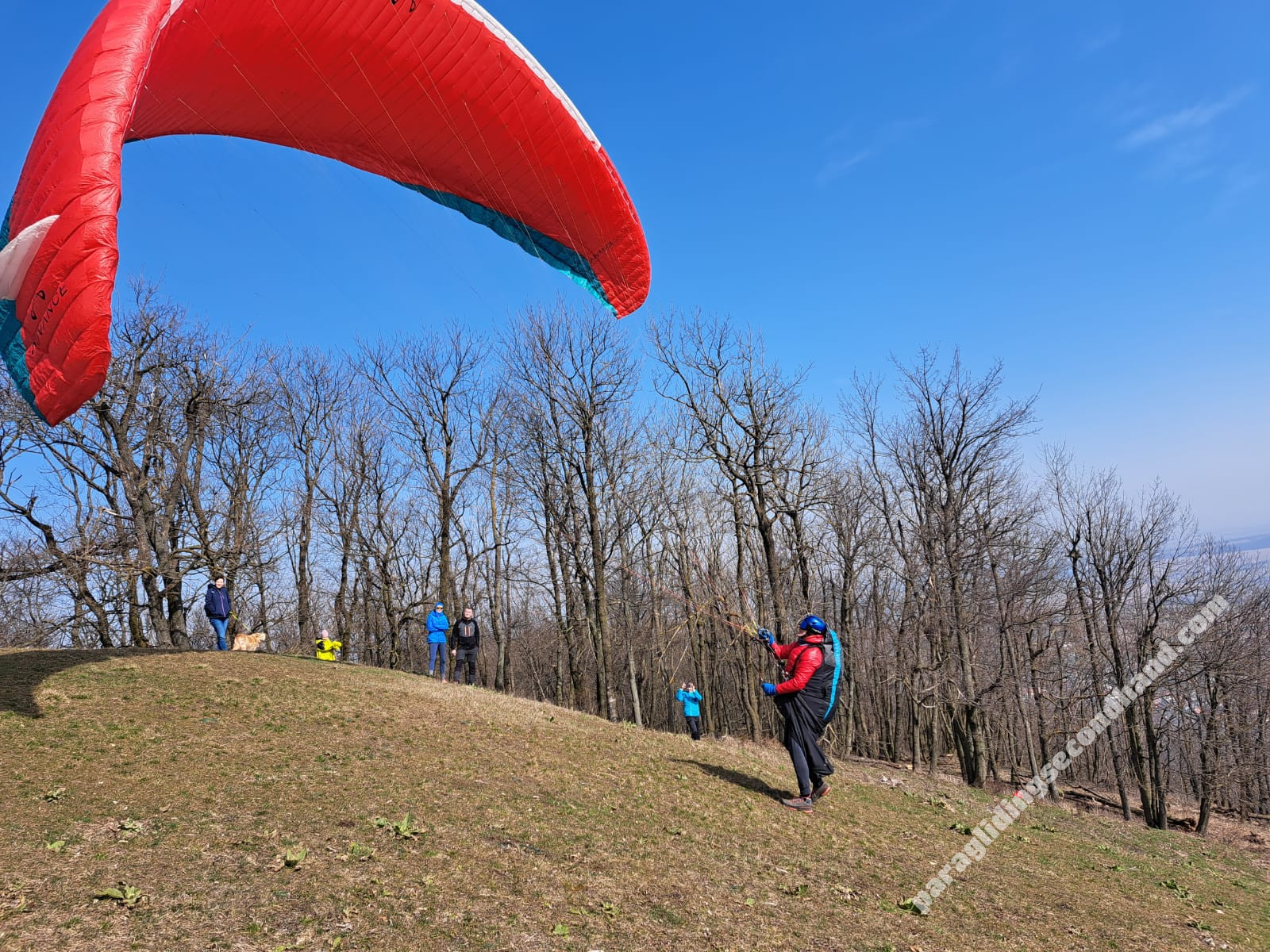 Advance SIGMA 10, 25, 2017, (80-100kg), 250h - Image 2