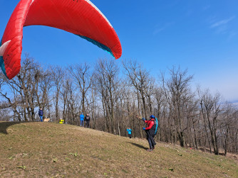 Advance SIGMA 10, 25, 2017, (80-100kg), 250h