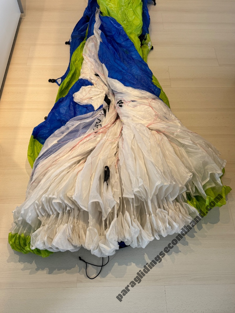 Papillon Escape, L, 2021, (105-125kg), 20h - Image 8