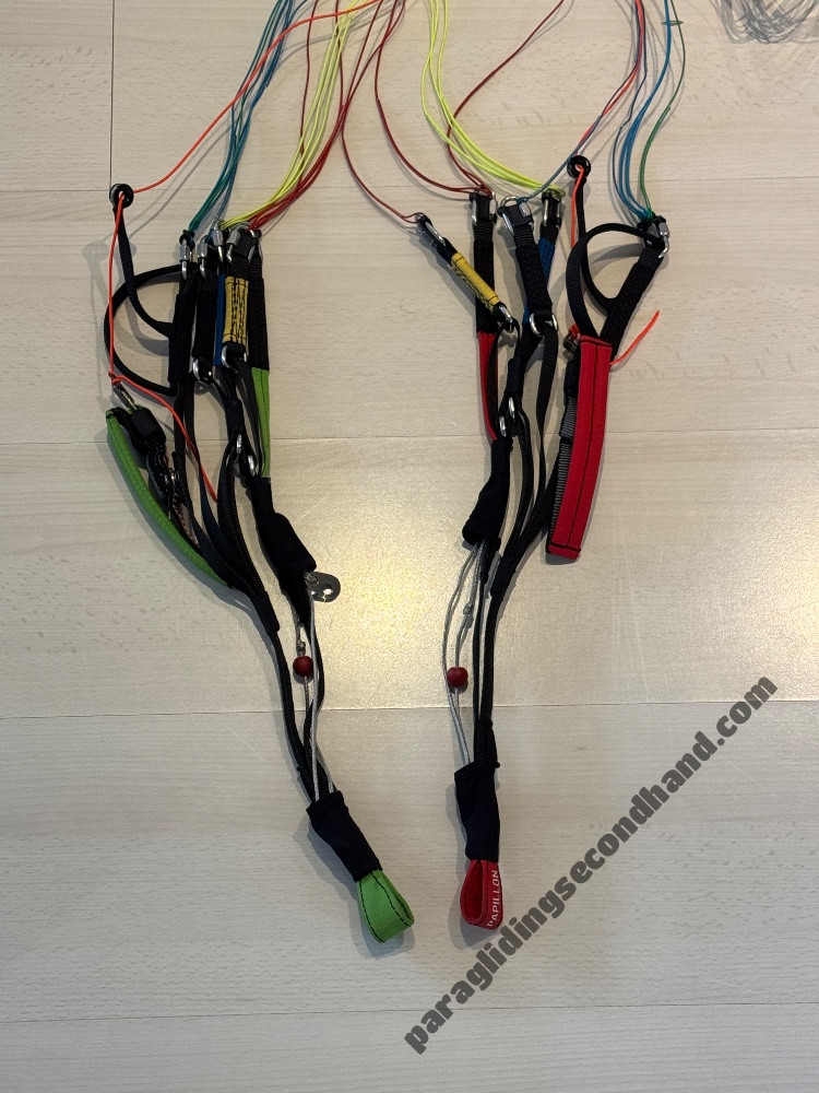 Papillon Escape, L, 2021, (105-125kg), 20h - Image 5