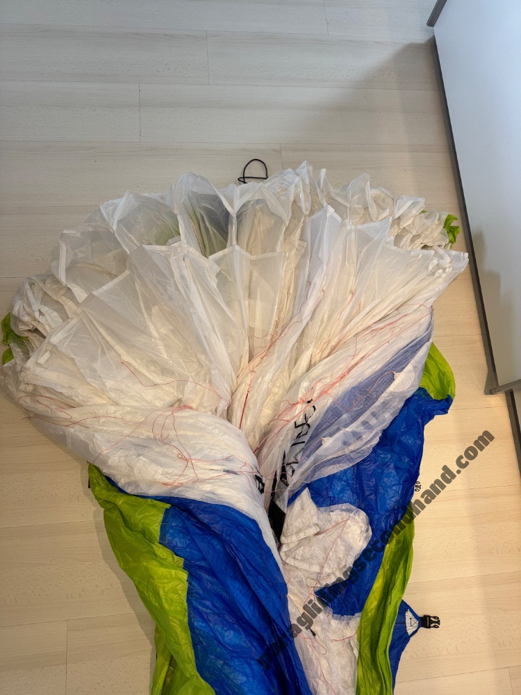 Papillon Escape, L, 2021, (105-125kg), 20h - Image 7