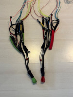 Papillon Escape, L, 2021, (105-125kg), 20h