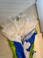 Papillon Escape, L, 2021, (105-125kg), 20h