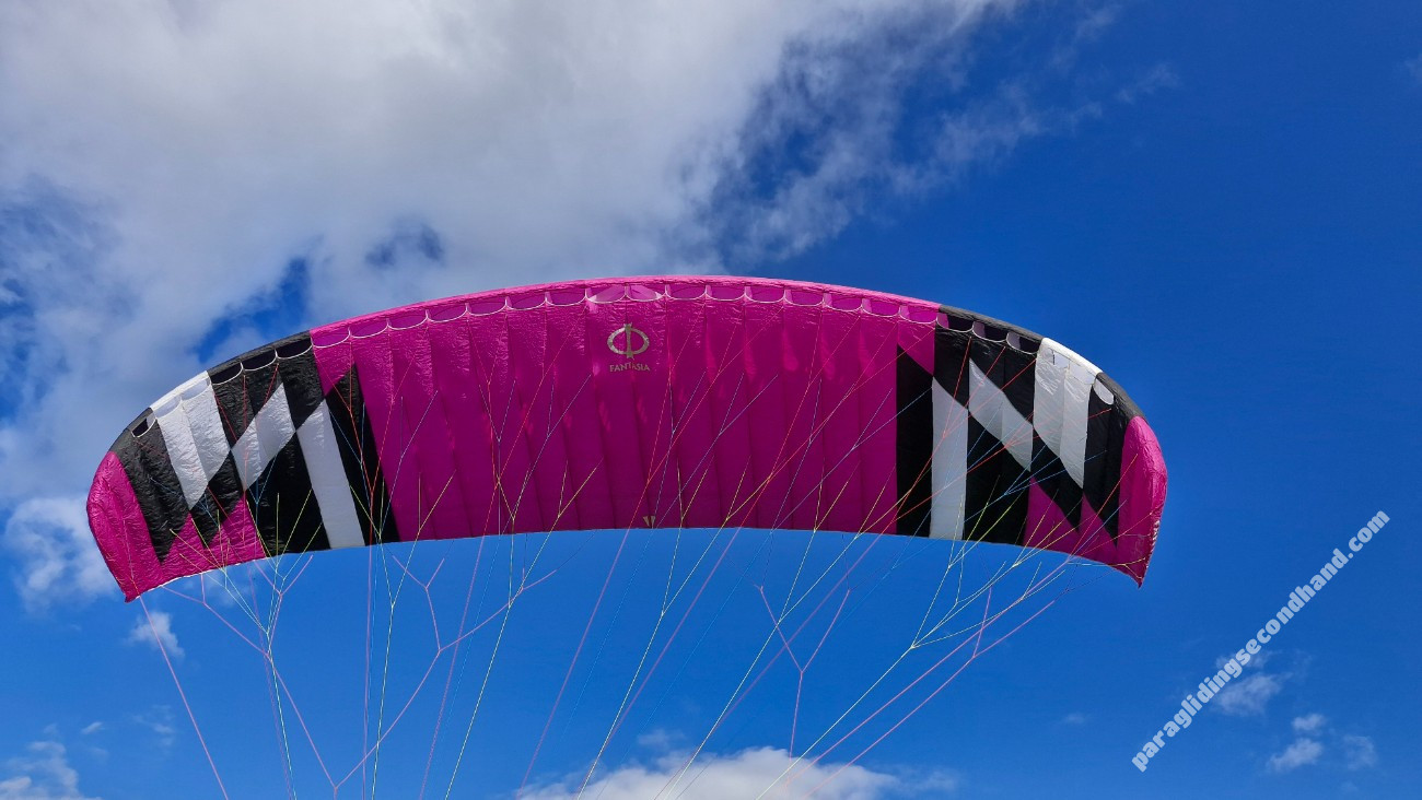 Phi Fantasia, S, 2021, (65-85kg), 20h