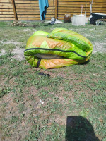 GIN Gliders GTO3, S, 2025, (75-95kg), 0h