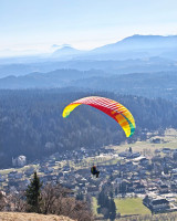 BGD Adam 2, L, 2025, (100-125kg), 10h