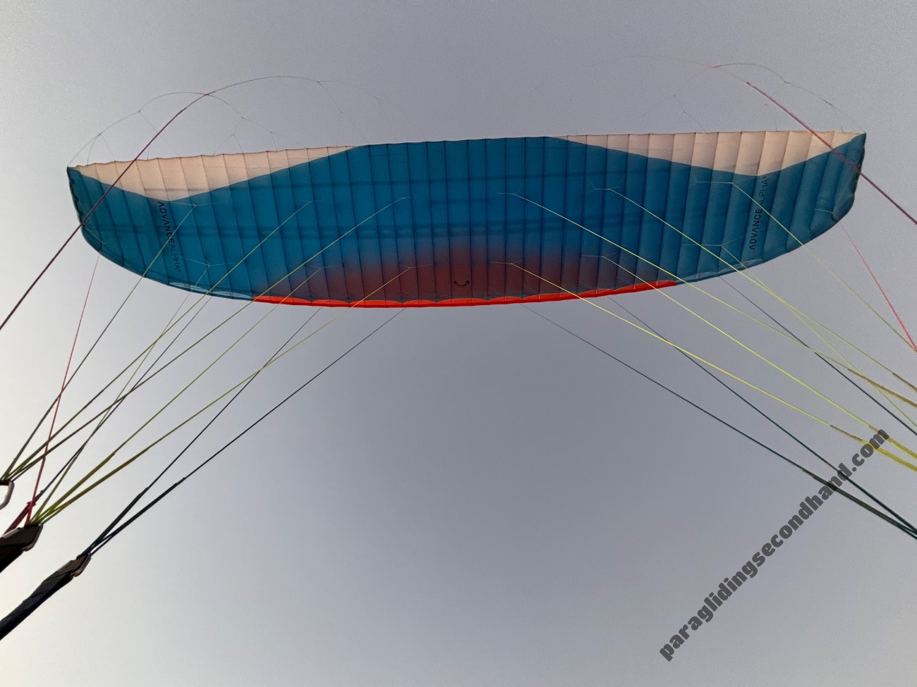 Advance Alpha 6, 26, 2020, (70-100kg), 80h - Obraz 4