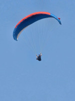 Advance Alpha 6, 26, 2020, (70-100kg), 80h