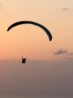 Advance Alpha 6, 26, 2020, (70-100kg), 80h