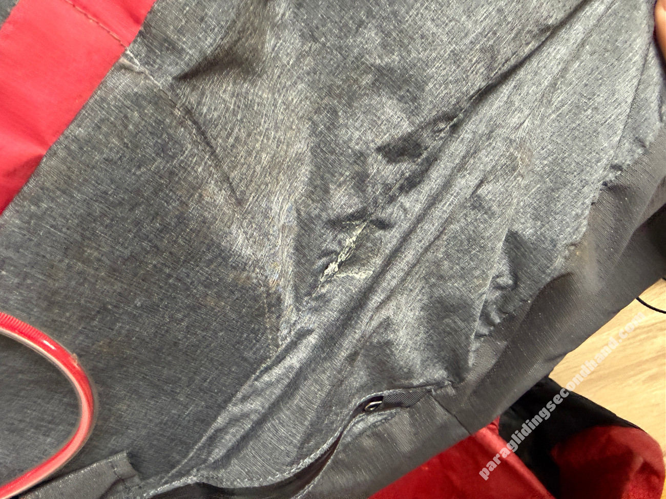 GIN Gliders Genie Race 5, L, 2024 - Immagine 2