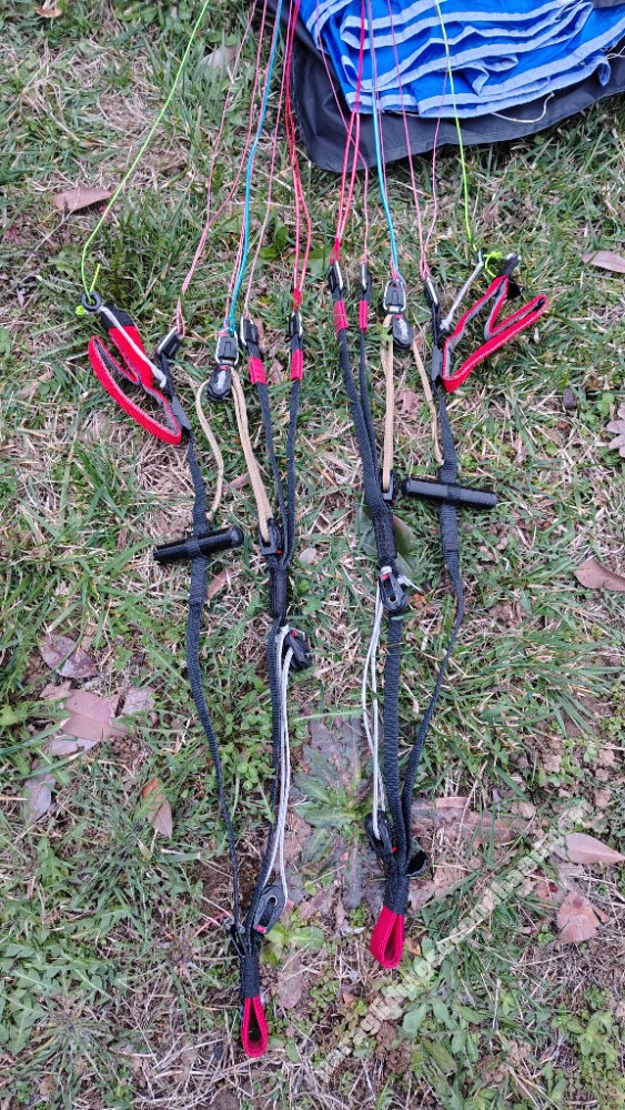 Phi Maestro 2, 19, 2023, (65-90kg), 30h - Image 4