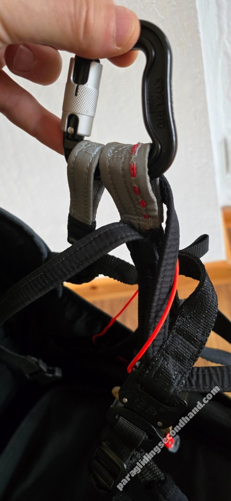 Advance Success, M, 2016 - Image 3