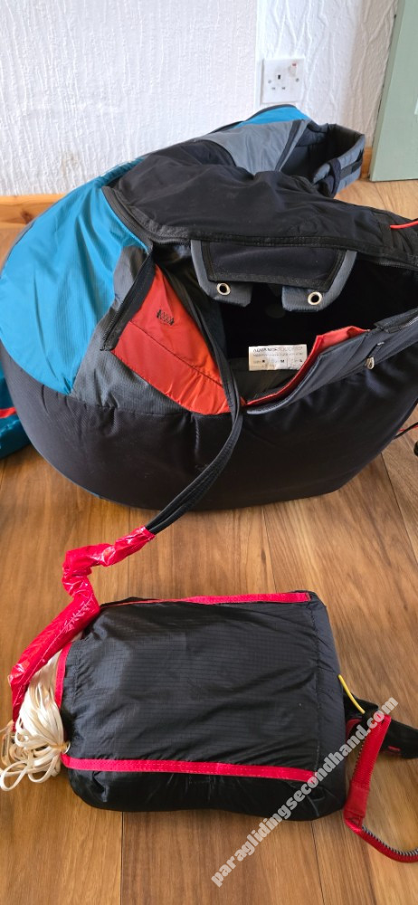 Advance Success, M, 2016 - Image 8