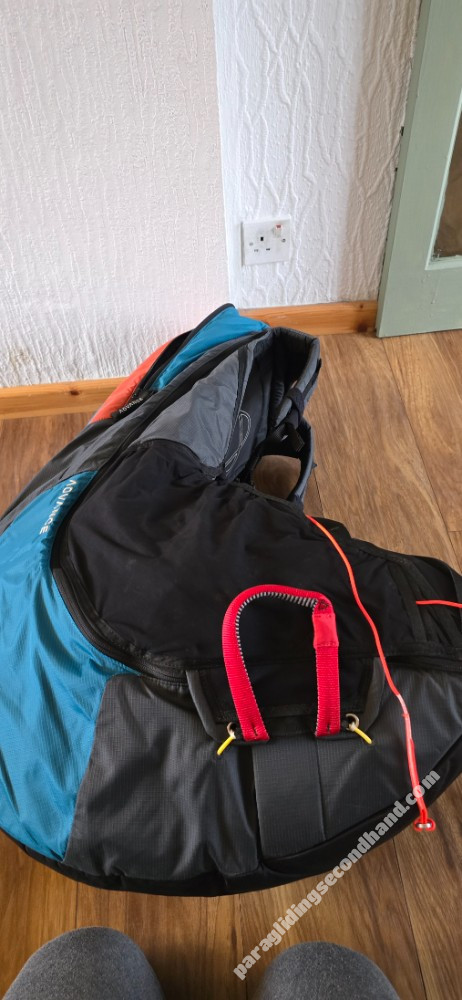 Advance Success, M, 2016 - Image 7