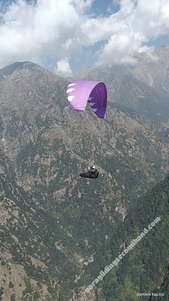 Phi Maestro 2, 21, 2023, (75-100kg), 140h - Imagen 2