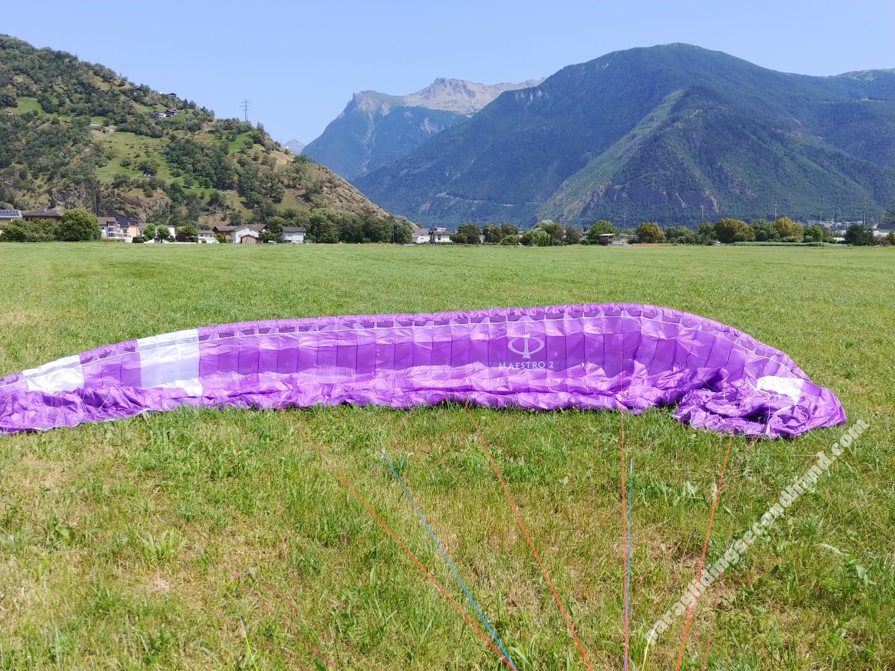 Phi Maestro 2, 21, 2023, (75-100kg), 140h - Imagen 3