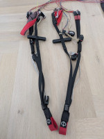 Phi Maestro 2, 21, 2023, (75-100kg), 140h