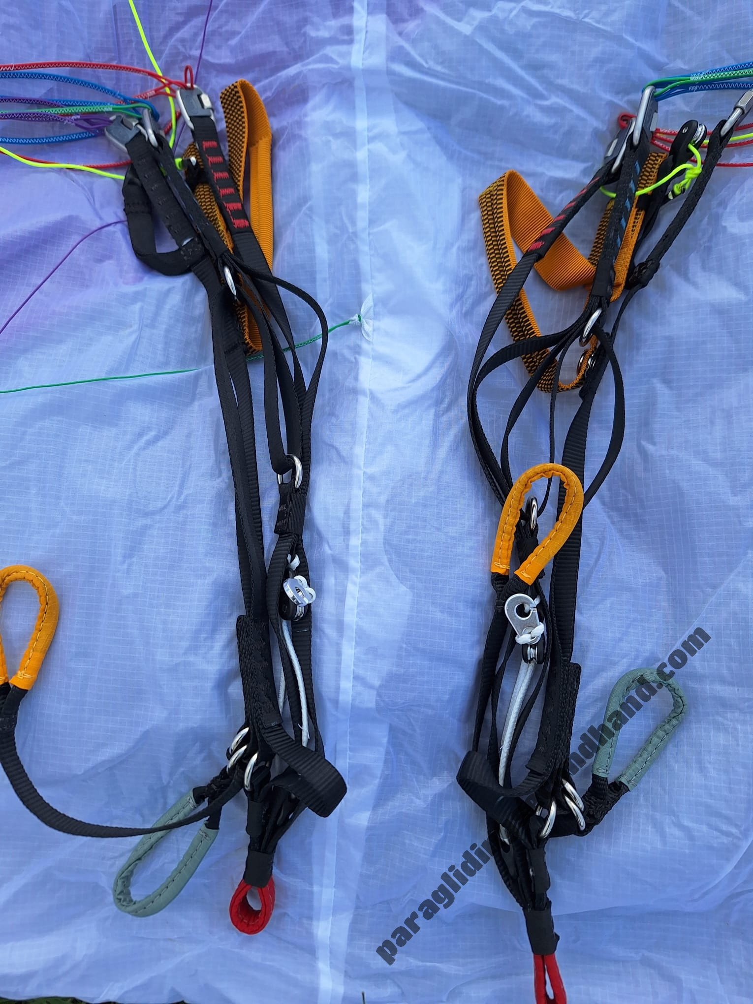 Sky Zoe, 17, 2022, (55-89kg), 10h - Image 2