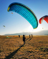 Nova Prion 4, XS, 2019, (55-85kg), 50h