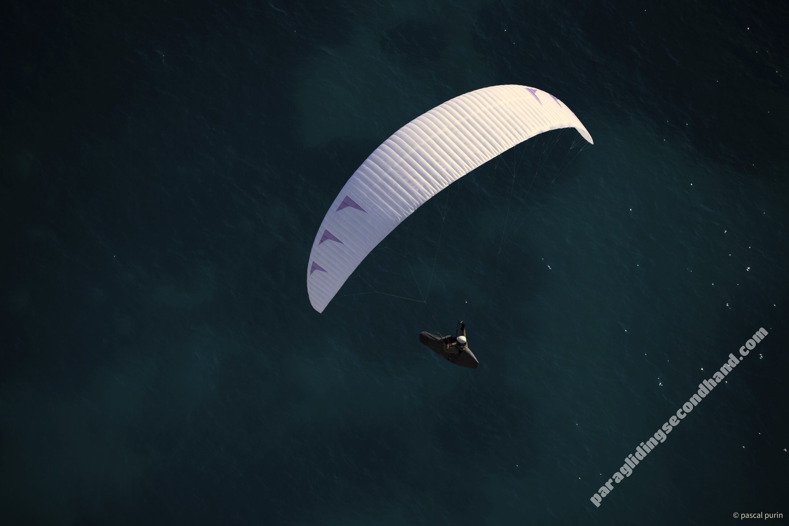 Phi SCALA 2 LIGHT, 18, 2023, (65-85kg), 35h