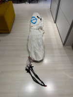 Phi SCALA 2 LIGHT, 18, 2023, (65-85kg), 35h