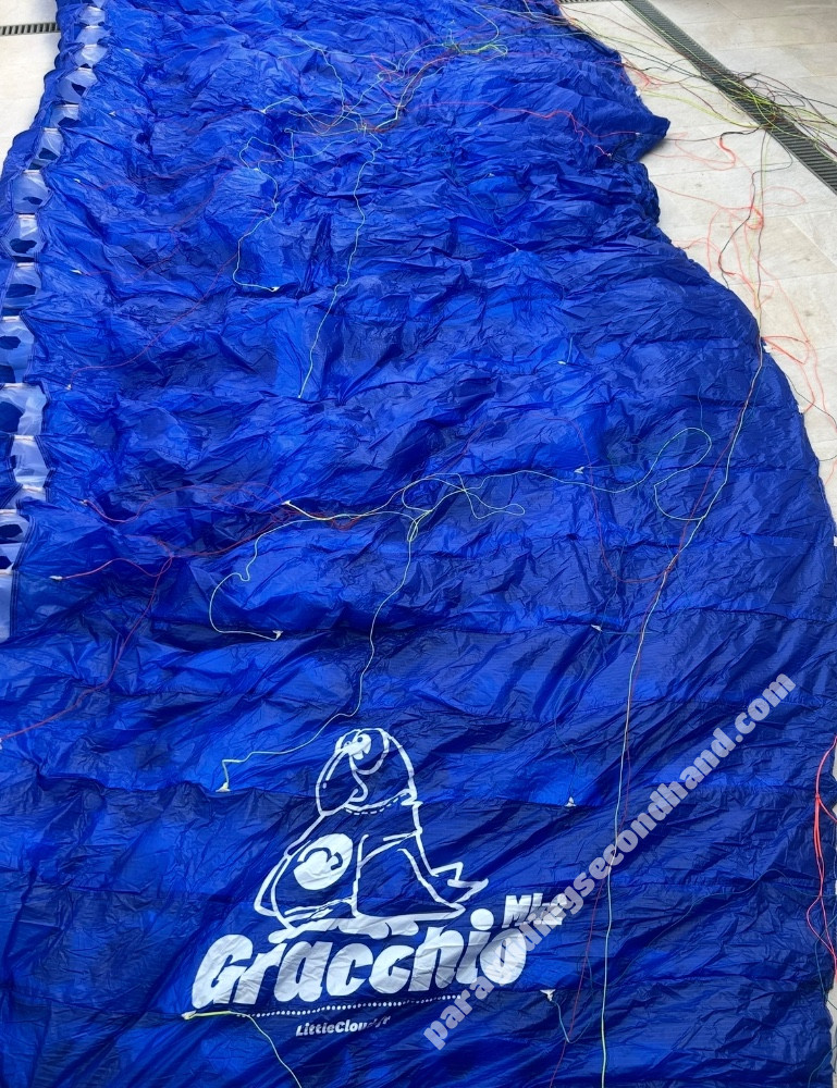 Little Cloud gracchio 2, 22, 2024, (60-85kg), 20h - Obraz 2