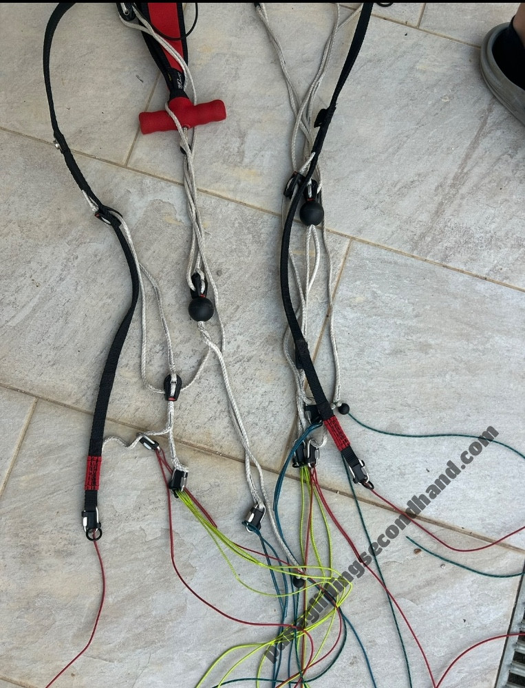 Little Cloud gracchio 2, 22, 2024, (60-85kg), 20h - Obraz 4