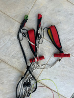 Little Cloud gracchio 2, 22, 2024, (60-85kg), 20h