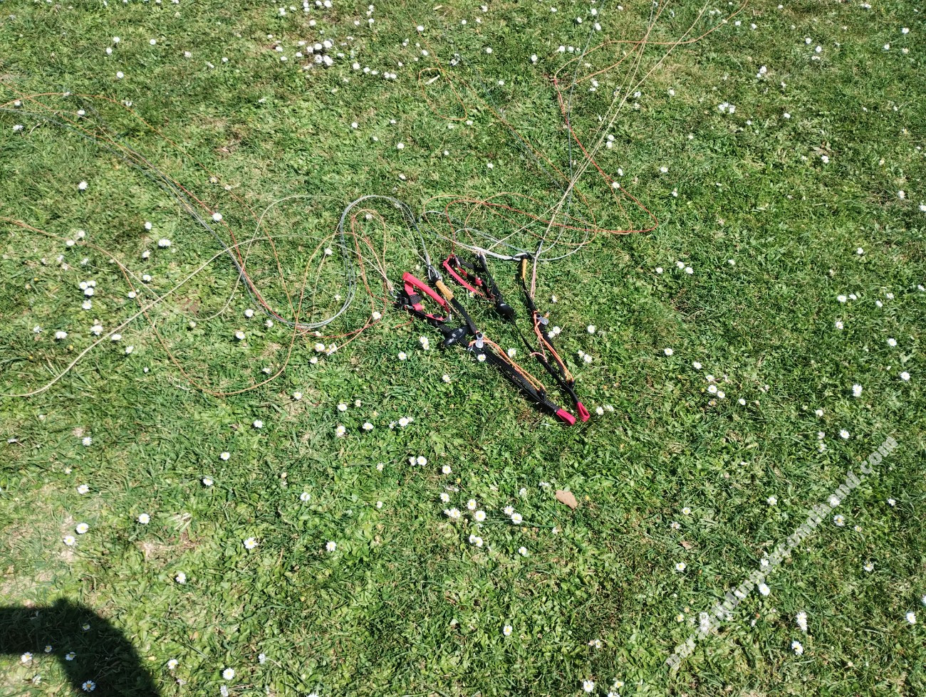 Axis Vega 6, XL, 2025, (115-135kg), 40h - Image 4