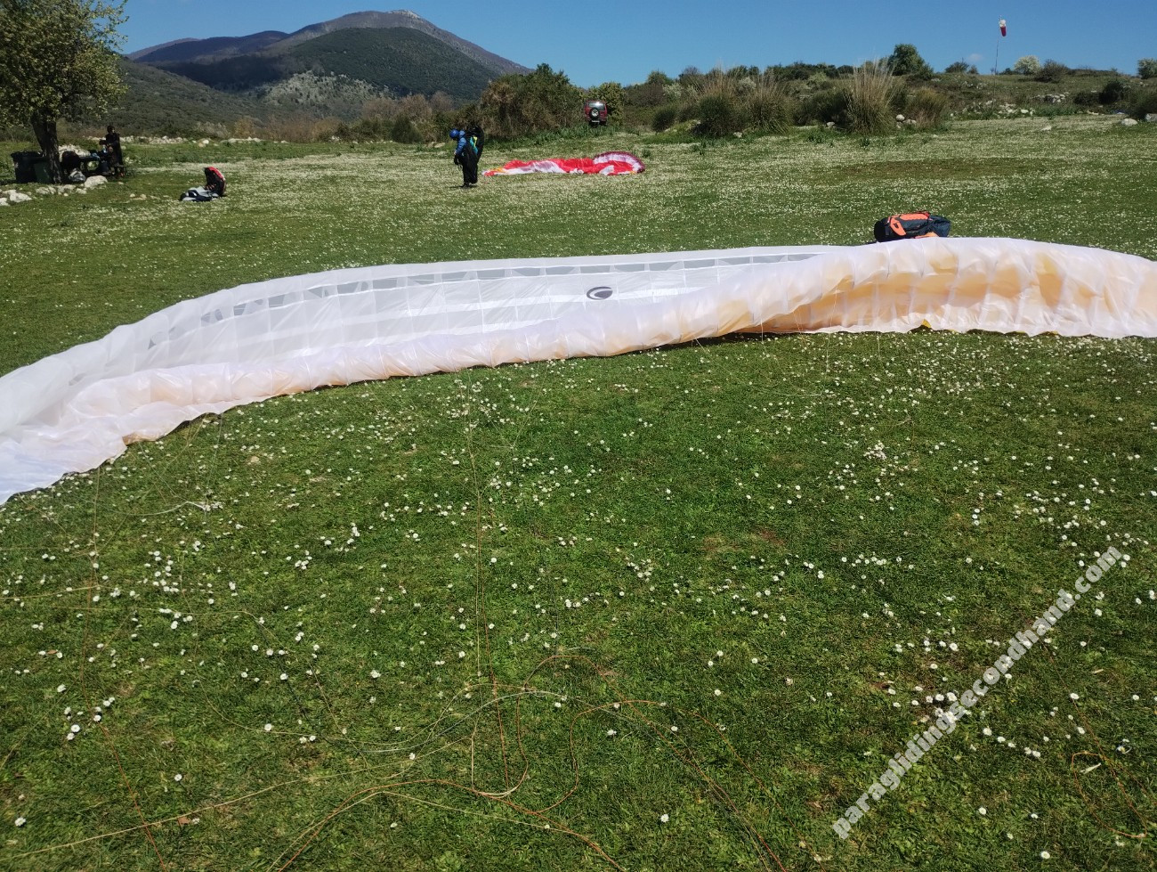 Axis Vega 6, XL, 2025, (115-135kg), 40h - Image 3