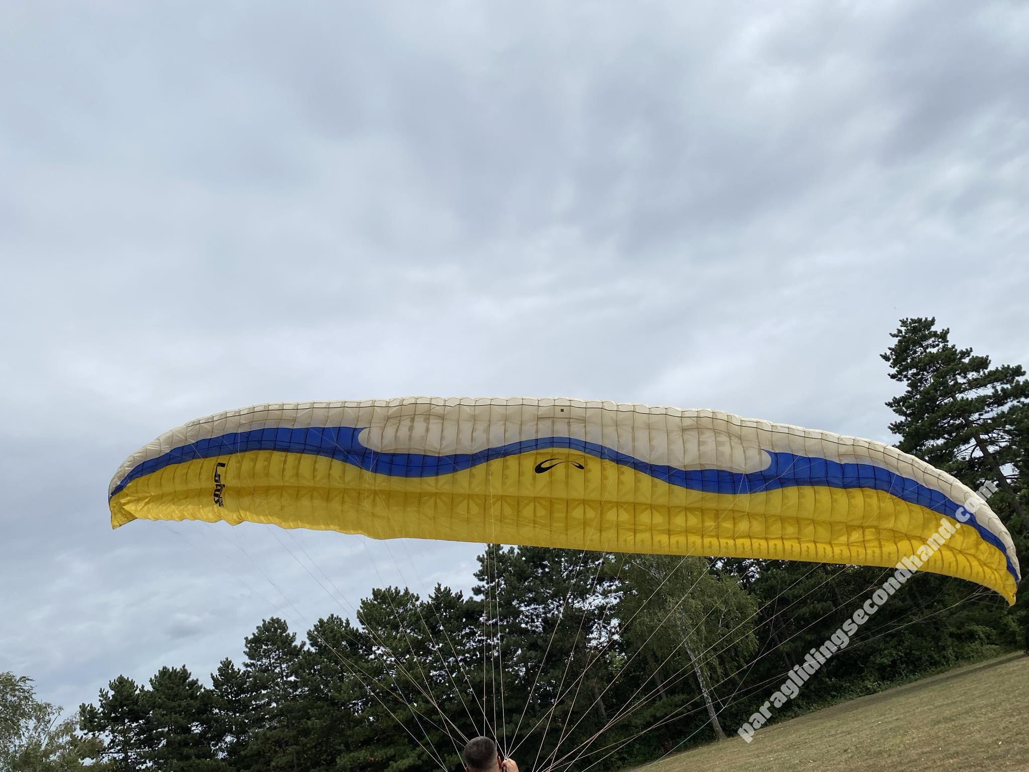 Sol Lotus1, L, 2016, (100-125kg), 200h - Immagine 5