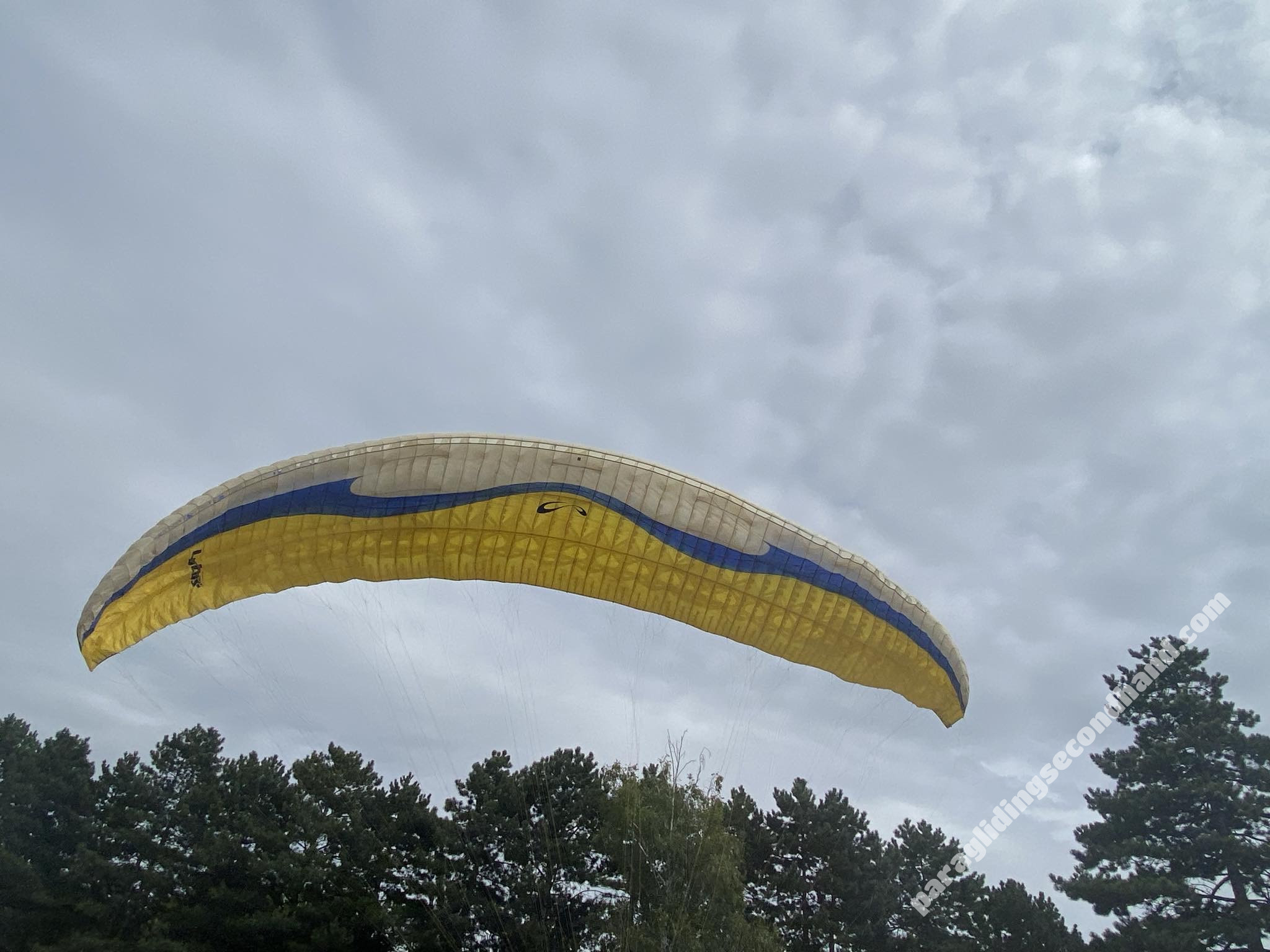 Sol Lotus1, L, 2016, (100-125kg), 200h - Immagine 2