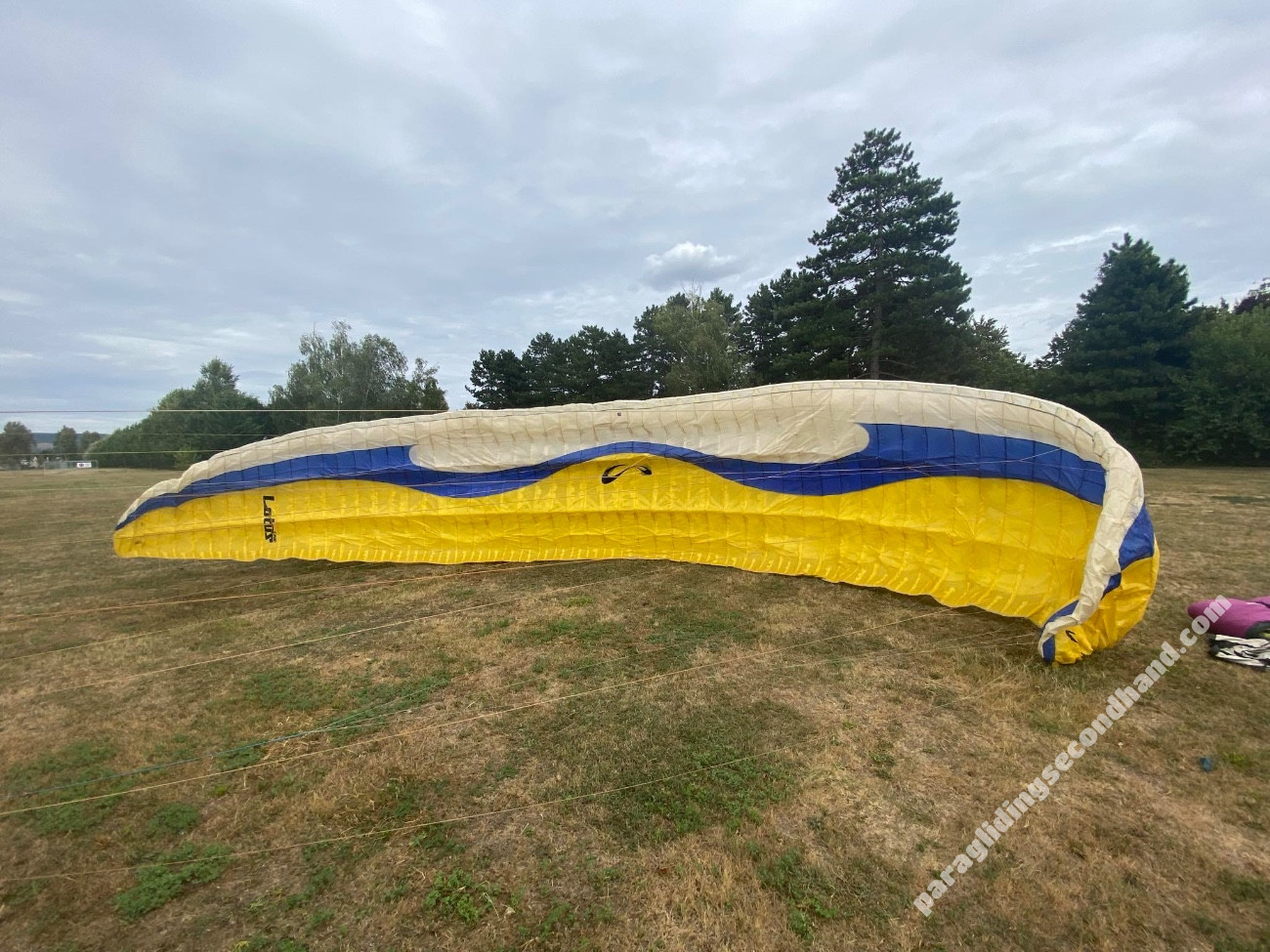 Sol Lotus1, L, 2016, (100-125kg), 200h - Immagine 6