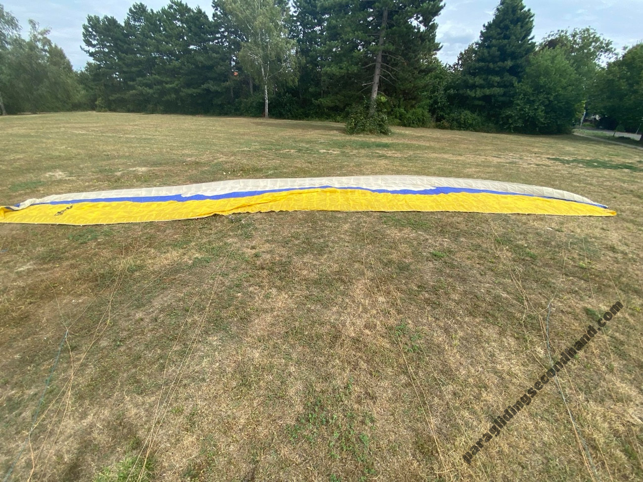 Sol Lotus1, L, 2016, (100-125kg), 200h - Immagine 7