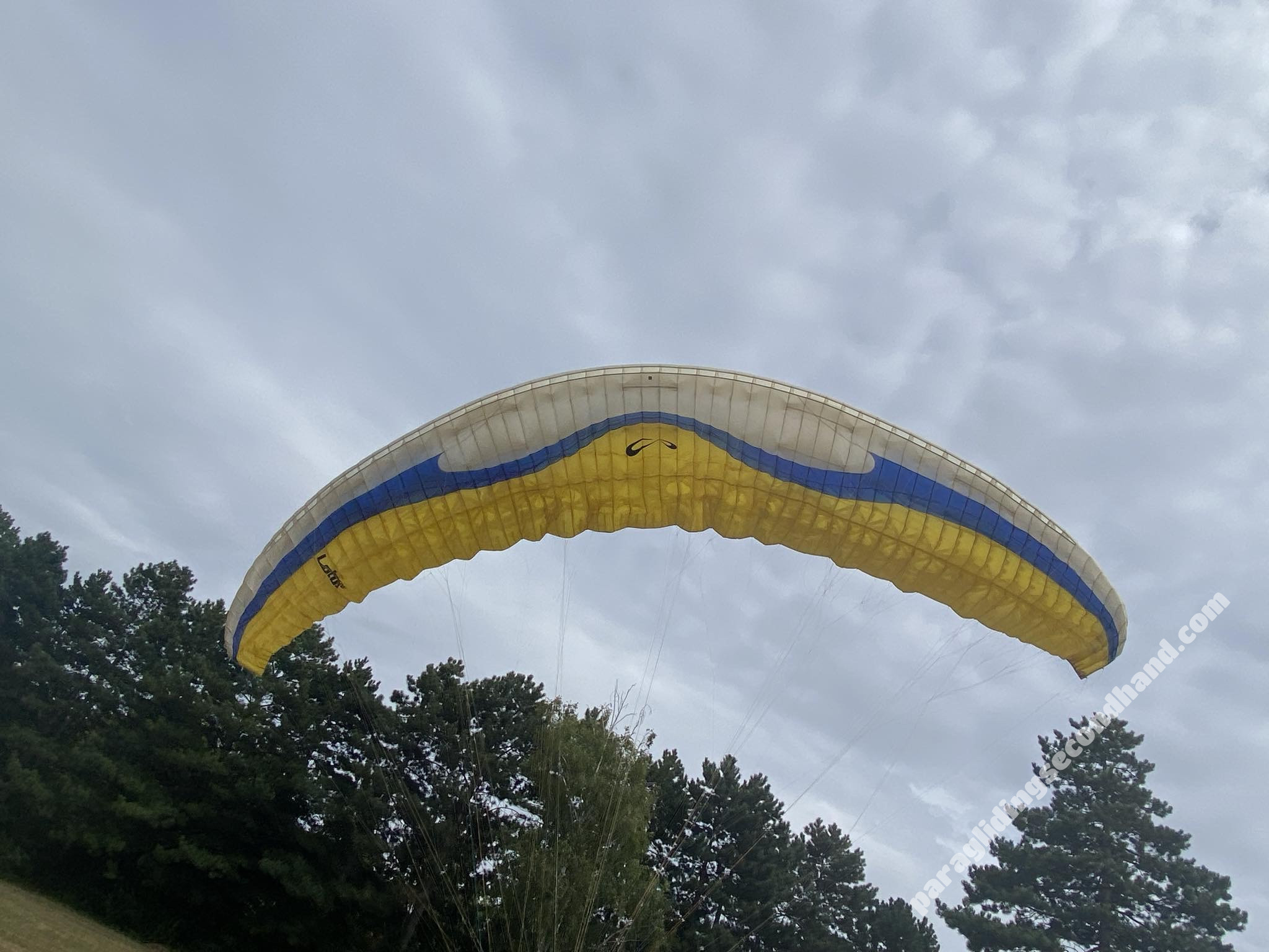 Sol Lotus1, L, 2016, (100-125kg), 200h - Immagine 4