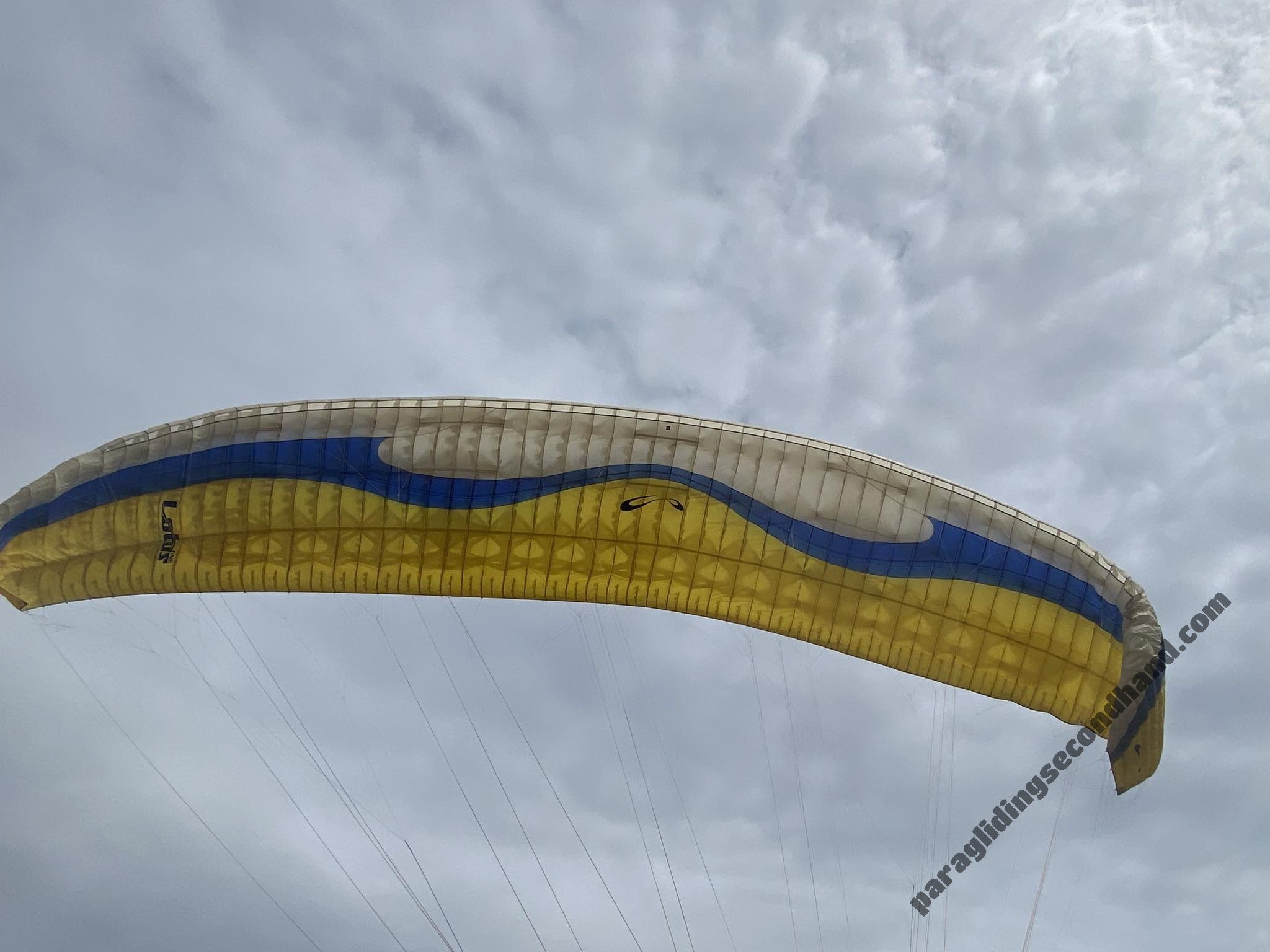 Sol Lotus1, L, 2016, (100-125kg), 200h - Immagine 3