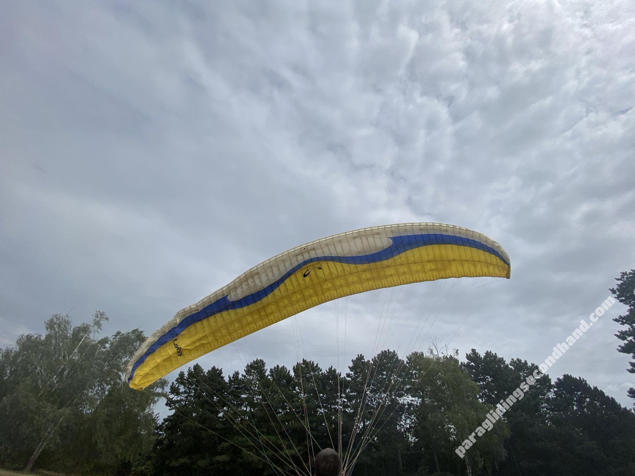 Sol Lotus1, L, 2016, (100-125kg), 200h