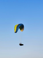Ozone Buzz Z6, 22, 2023, (55-70kg), 60h