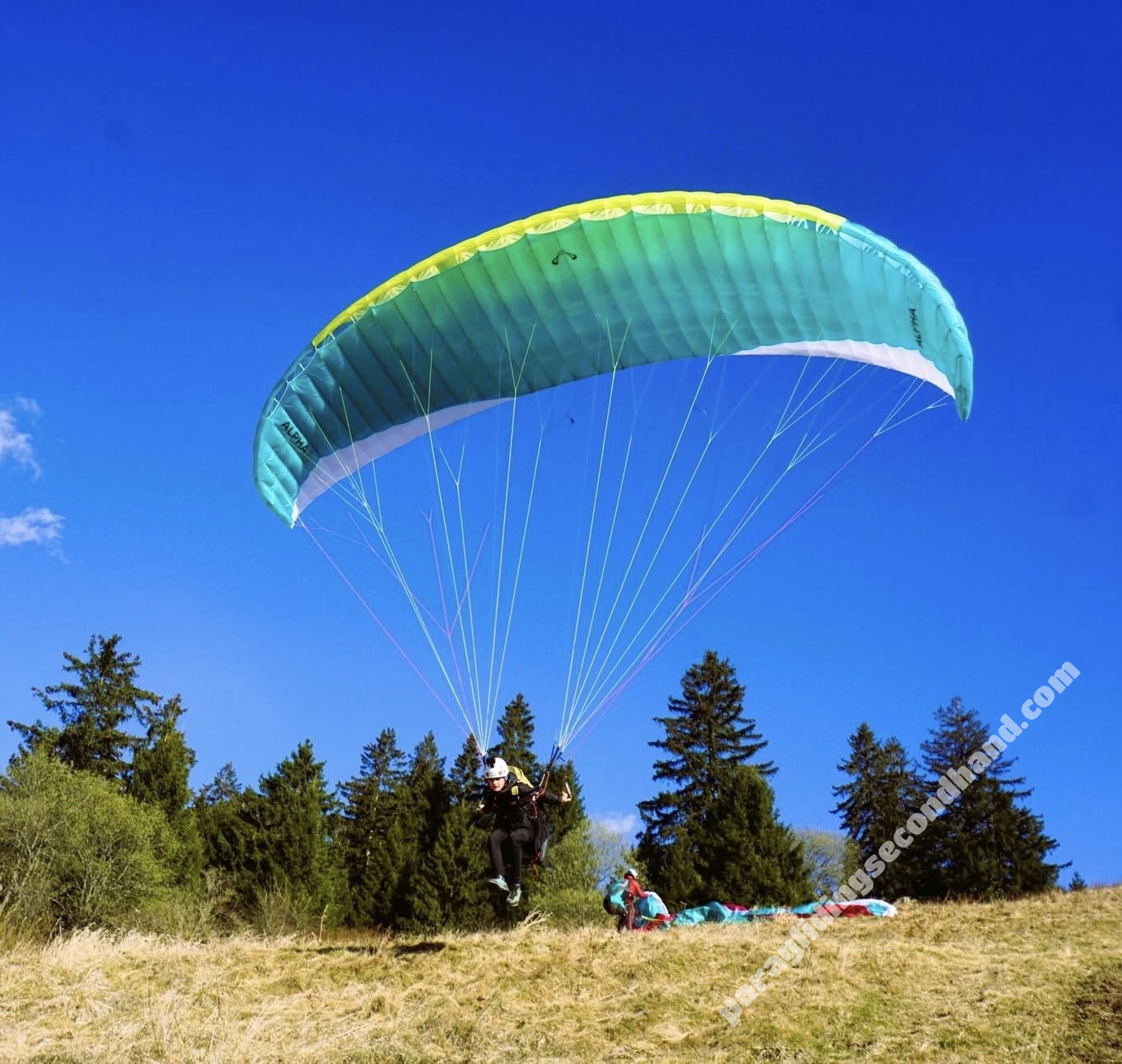 Advance Alpha 7, 22, 2025, (50-85kg), 40h