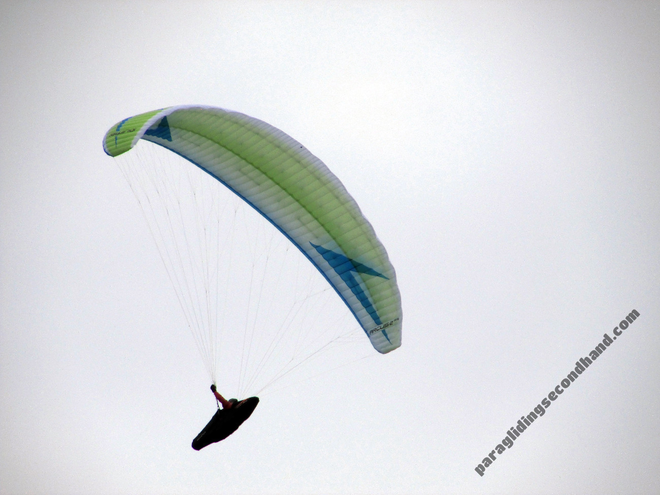 Swing Arcus 2 RS, M, 2021, (85-105kg), 60h