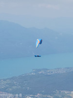 Ozone Zeno 2, MS, 2022, (85-100kg), 280h