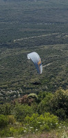 Niviuk Artik R 25, 25, 2023, (90-105kg), 76h