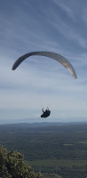 Niviuk Artik R 25, 25, 2023, (90-105kg), 76h