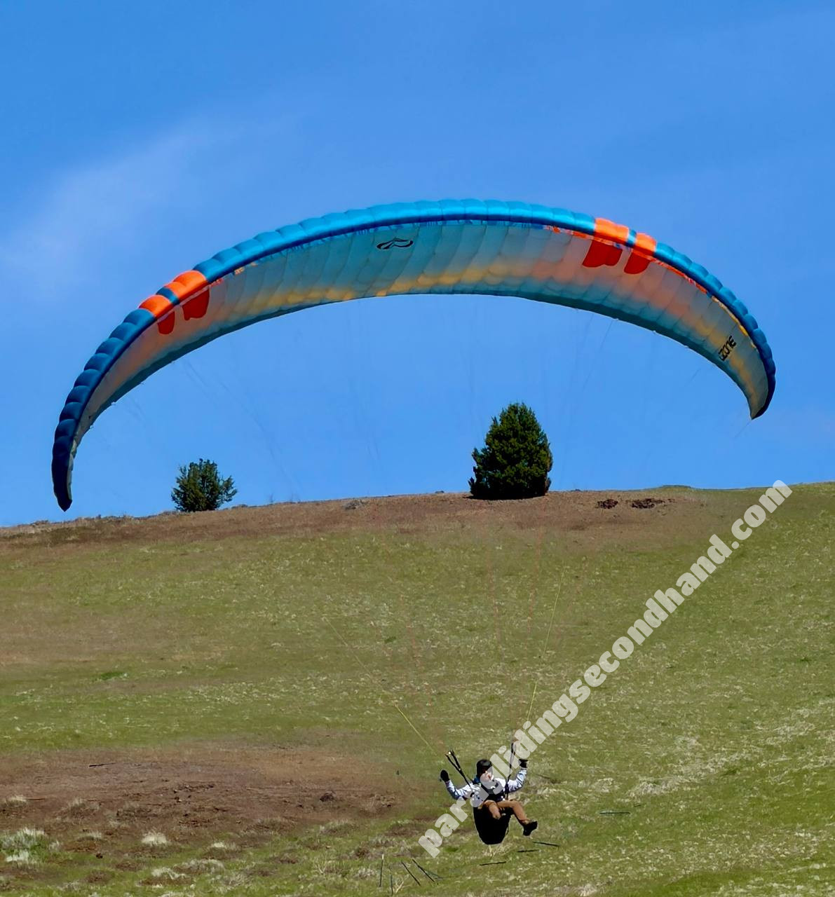Ozone Buzz Z7, XL, 2023, (110-130kg), 80h