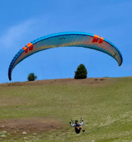 Ozone Buzz Z7, XL, 2023, (110-130kg), 80h