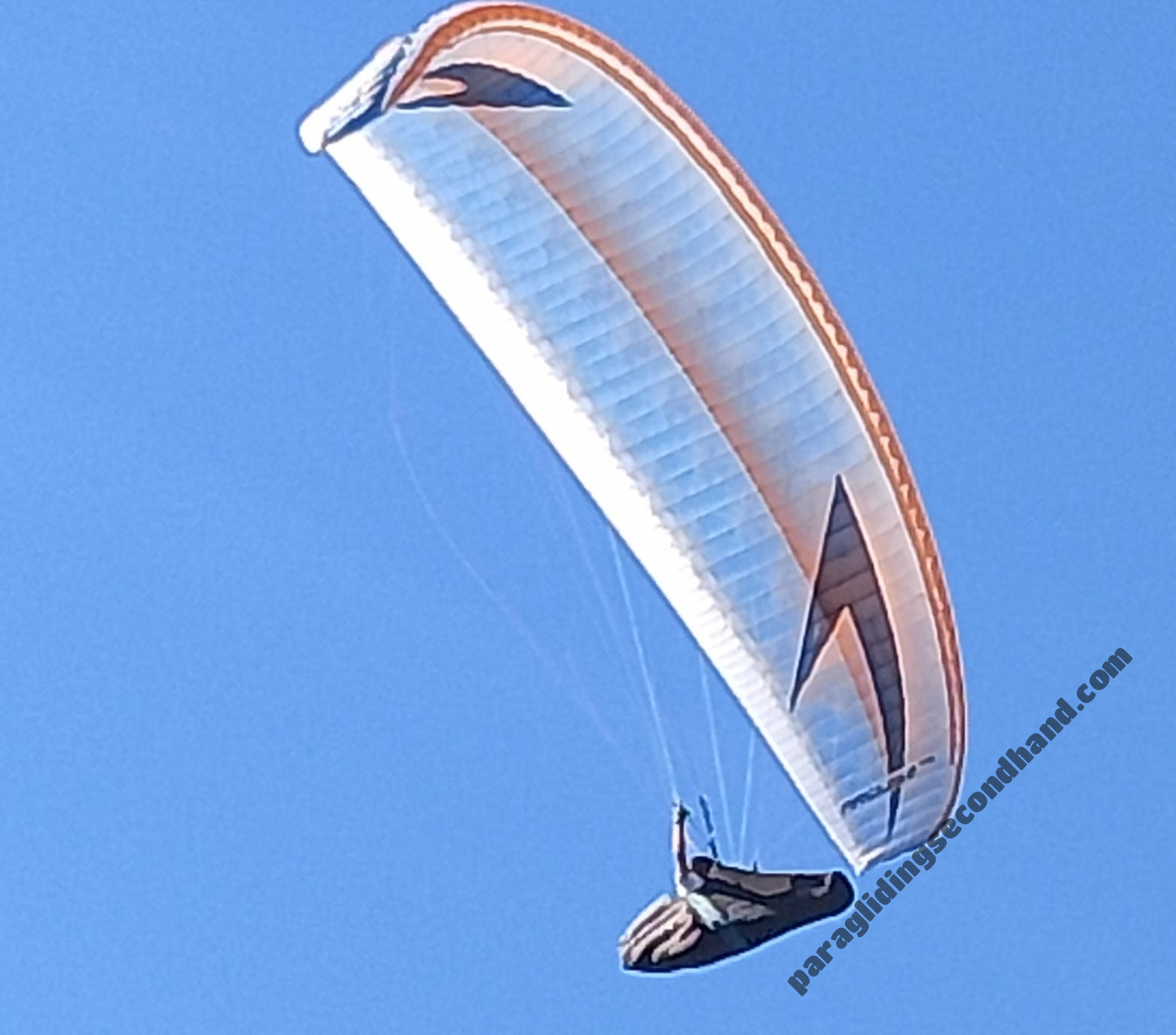 Swing Arcus rs 2, S, 2022, (90-95kg), 94h - Image 2